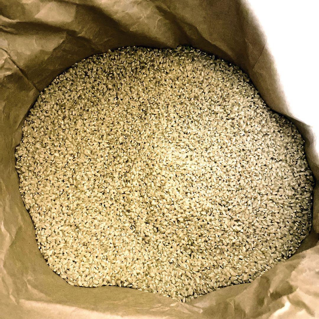 令和７年産　熊本県産　くまさんの輝き　玄米　30キロ　送料込　お米　農家直送