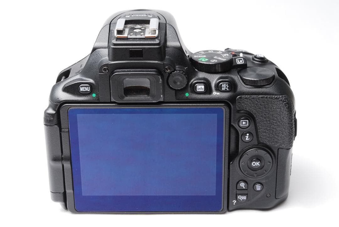 【ショット少ない】Nikon D5600 ダブルレンズ 初心者おすすめ