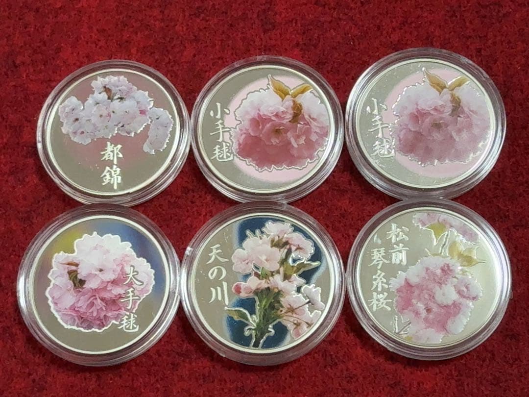 桜の通り抜け プルーフ貨幣セット内の銀メダル 24枚セット スターリングシルバー