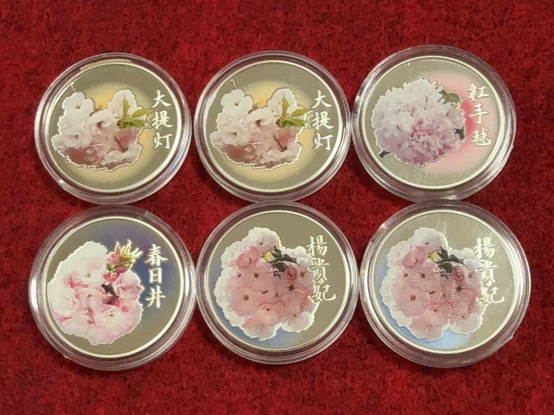 桜の通り抜け プルーフ貨幣セット内の銀メダル 24枚セット スターリングシルバー