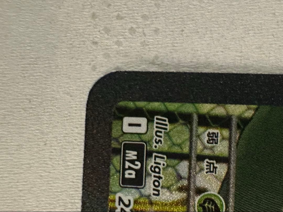 マリィのオーロンゲex メガカイリューex等セット販売