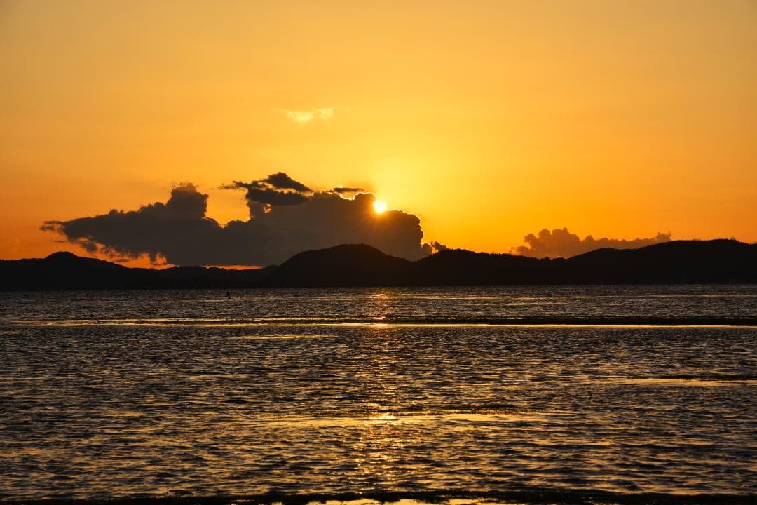 デジタルカメラ Nikon D750 Tamron 35-150mm F2.8-4