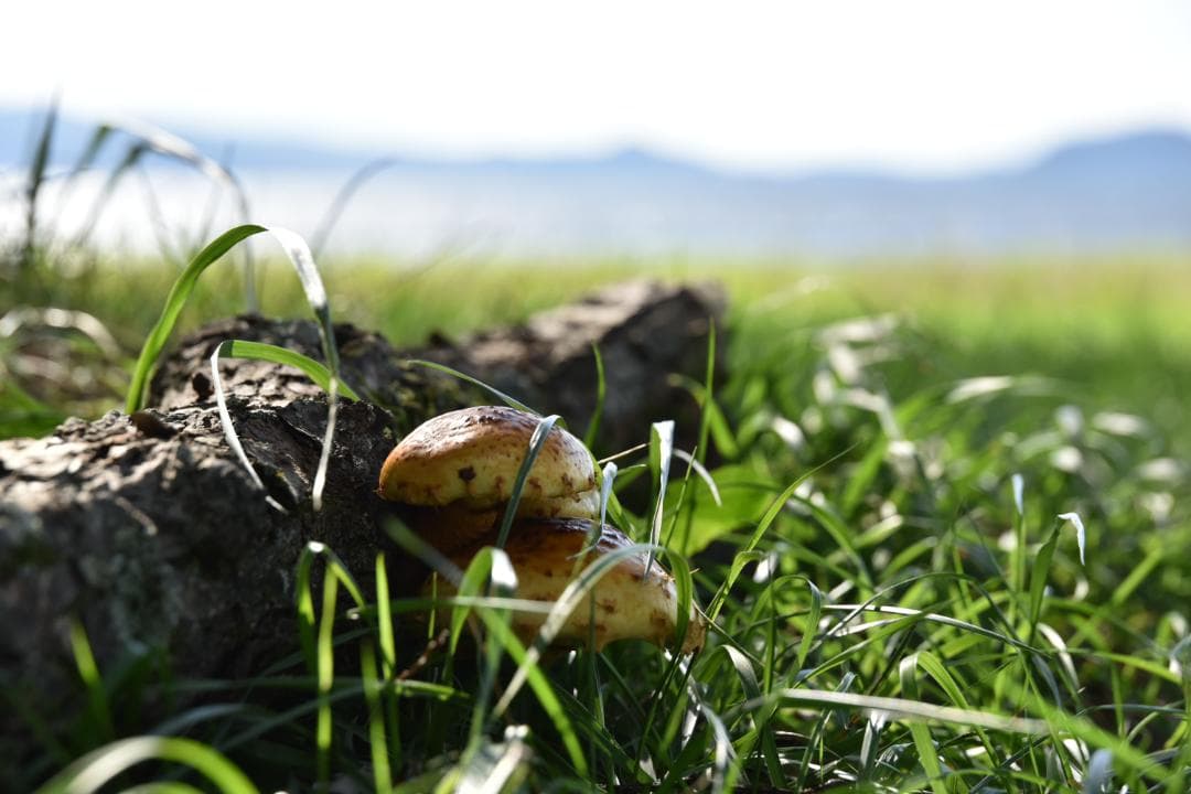 デジタルカメラ Nikon D750 Tamron 35-150mm F2.8-4