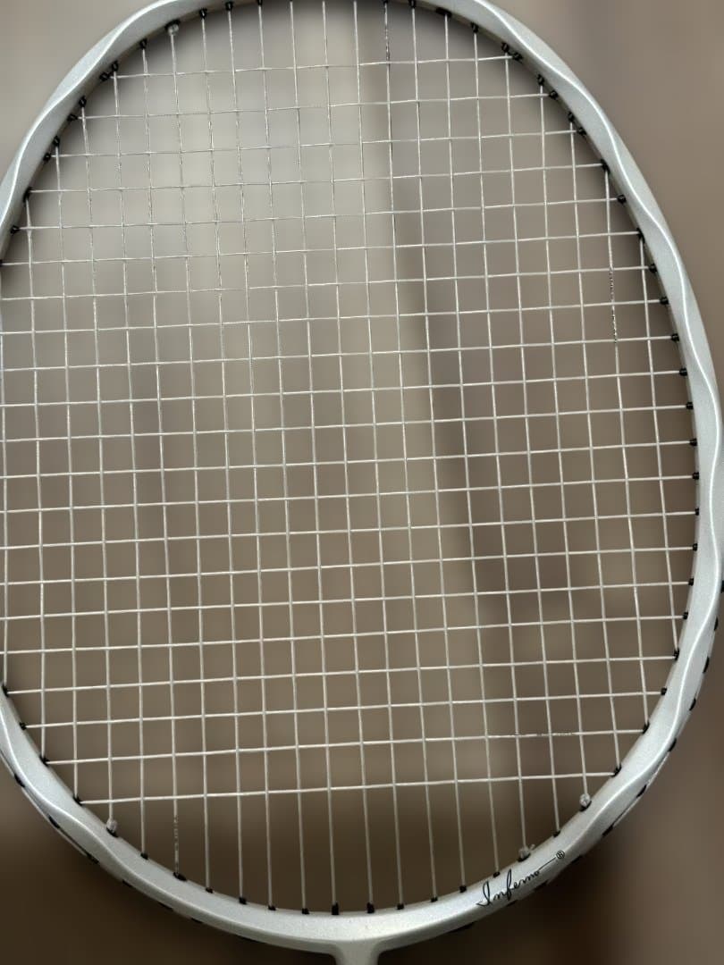 【17%値下げ！】【美品】GOSEN インフェルノライト スカイアーク張上済