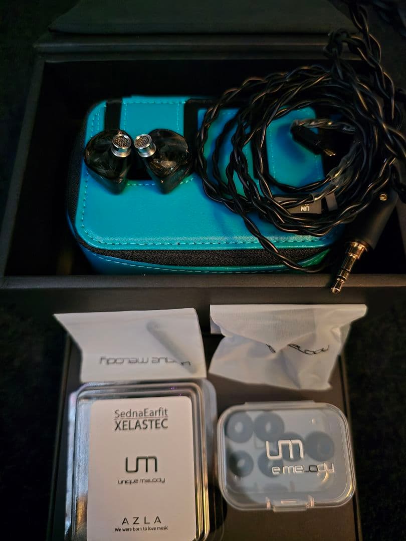 イヤホン Unique Melody MEST MKII