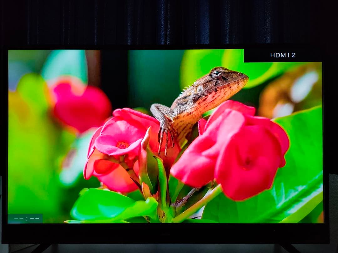 フルハイビジョン 40インチ MAXZEN＋FireTV Stick