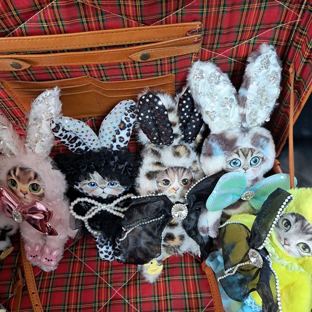 コヤンイサムチョン♥️ペコ