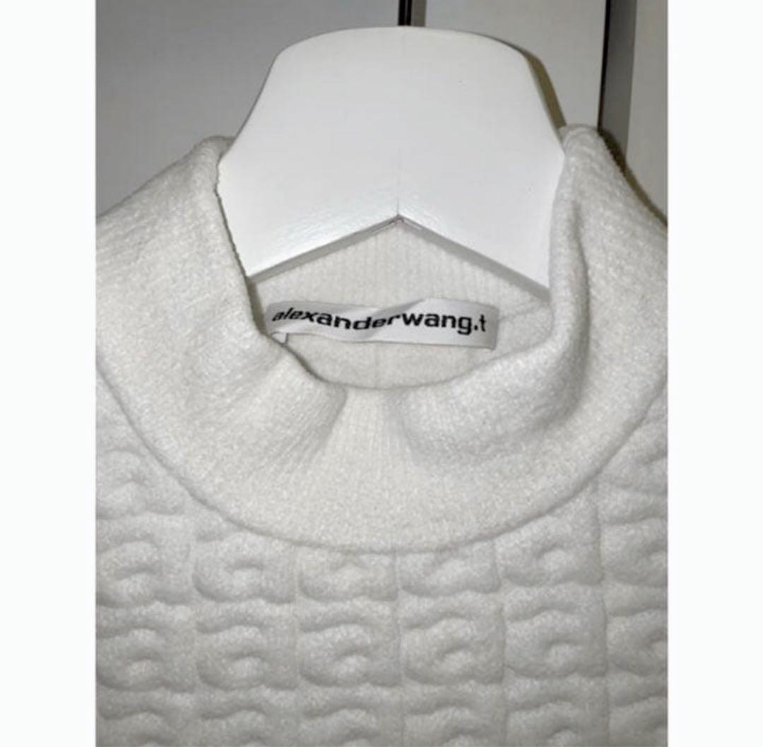 アレキサンダーワン ニットトップス　クロップド