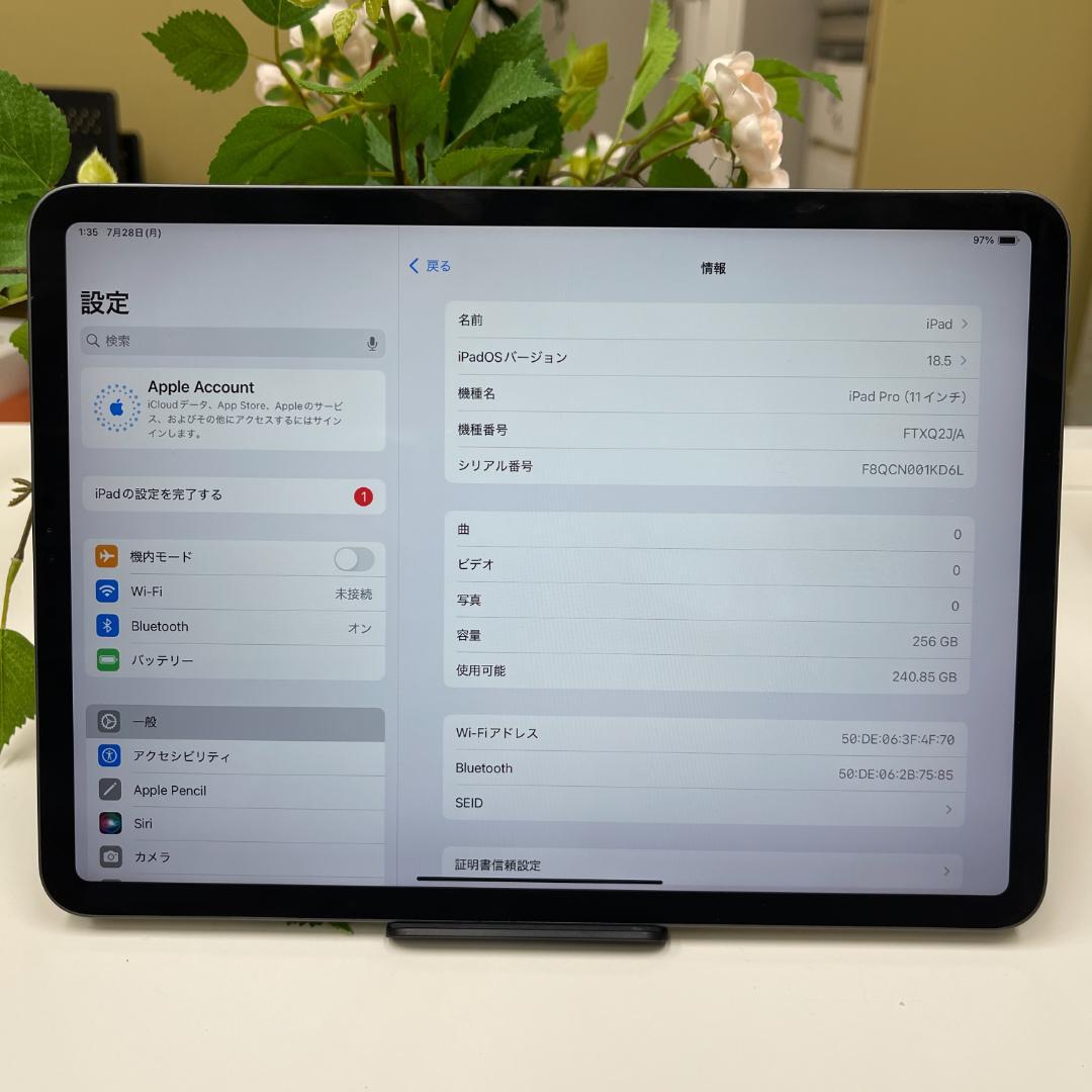 iPad Pro 11インチ 256GB Wifi 送料無料
