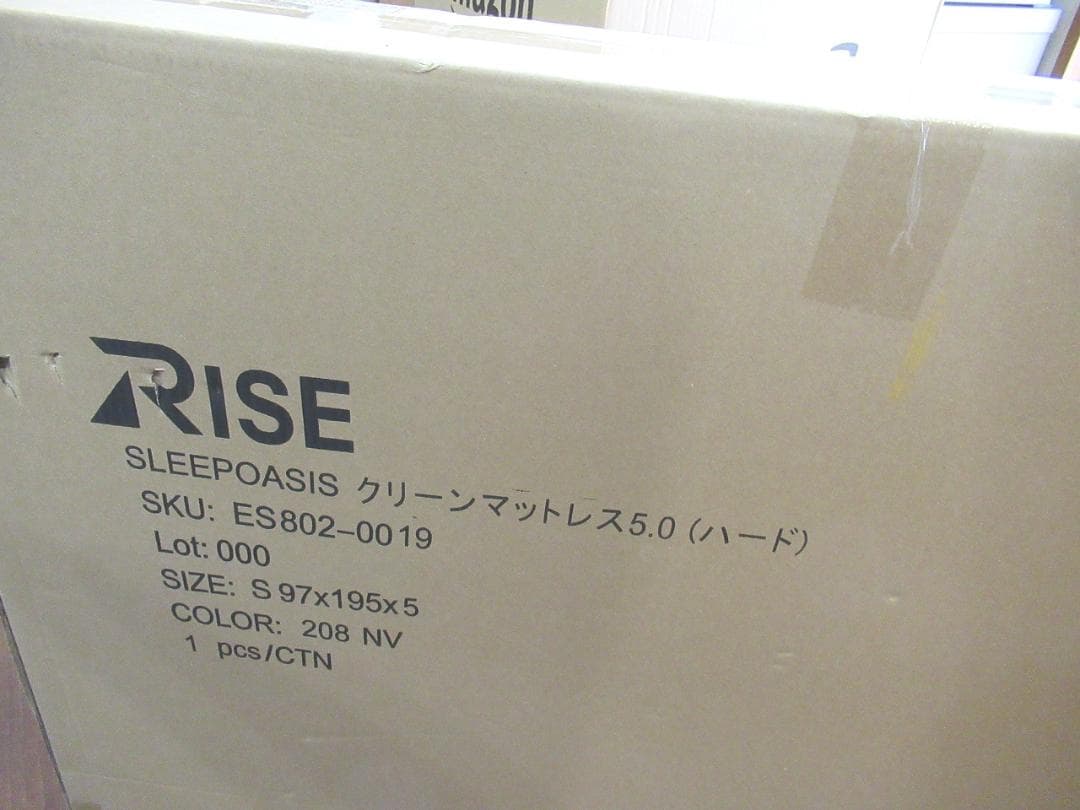 RISE(ライズ) スリープオアシス クリーンマットレス5.0 シングル