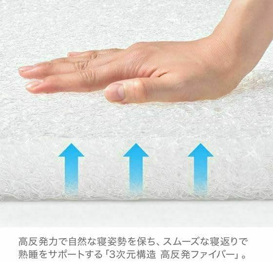 RISE(ライズ) スリープオアシス クリーンマットレス5.0 シングル