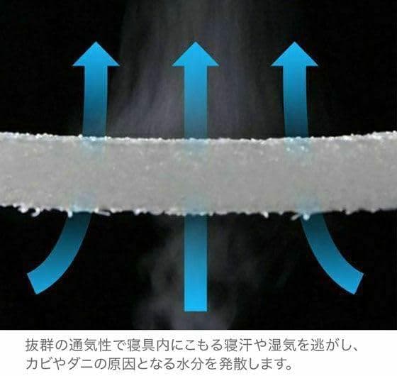 RISE(ライズ) スリープオアシス クリーンマットレス5.0 シングル