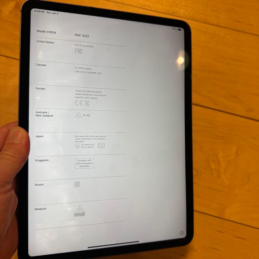 水没&画面不具合 iPad Pro 11インチ第1世代 256GBスペースグレー