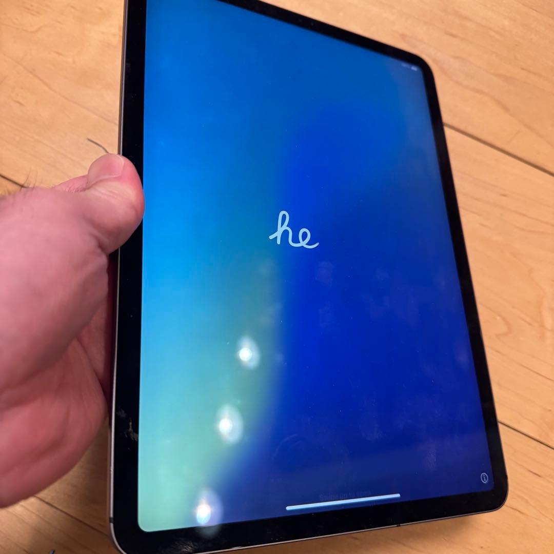 水没&画面不具合 iPad Pro 11インチ第1世代 256GBスペースグレー