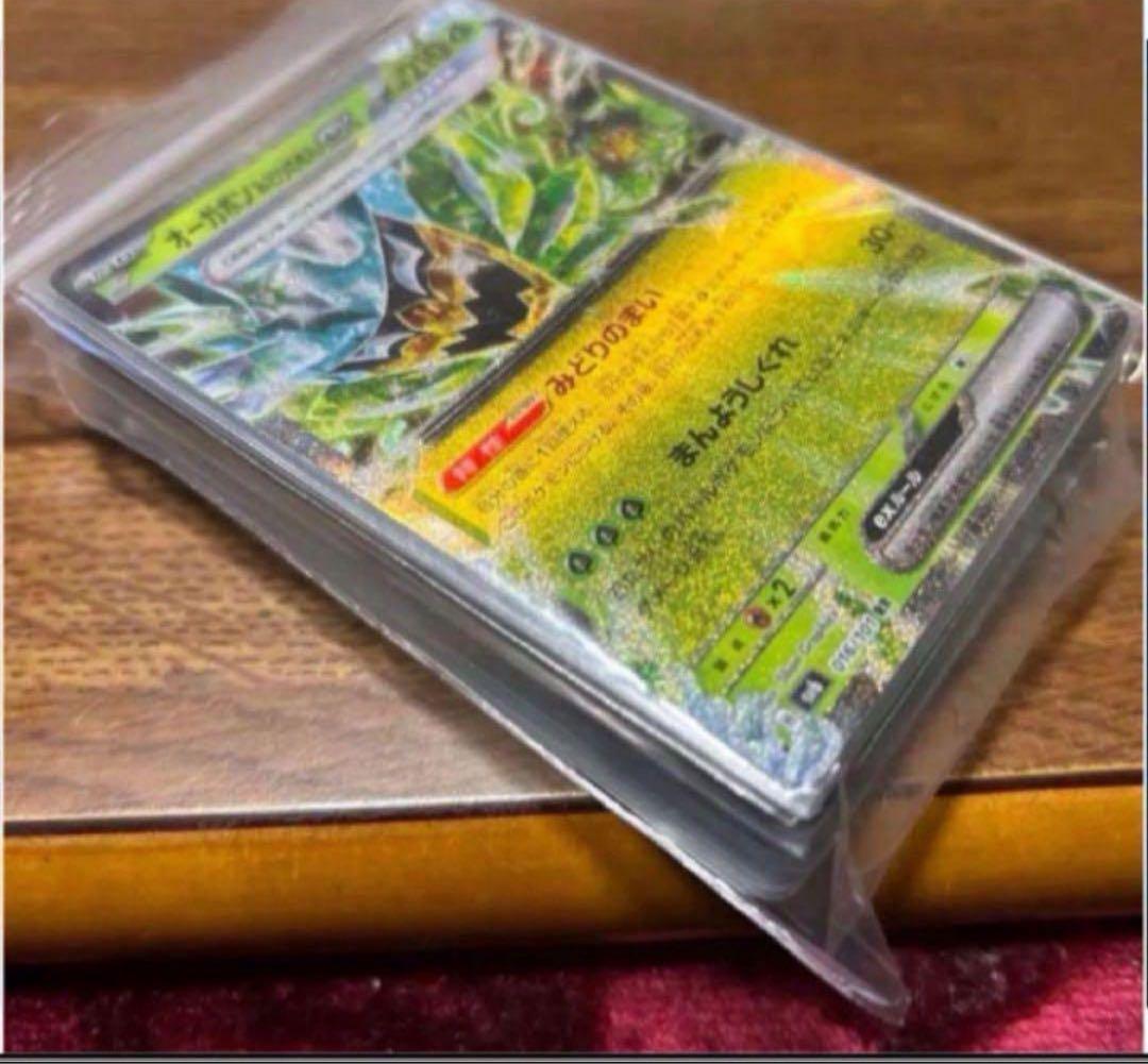 ドラパルトex Nのゾロアーク タケルライコex 構築済みデッキ　環境トップ