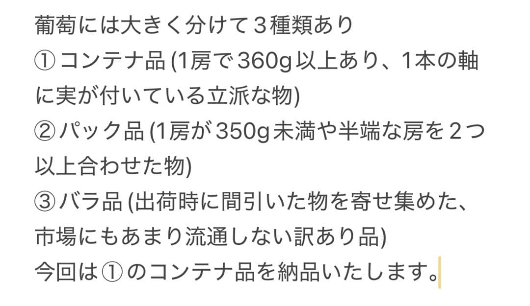 ① 【岡山県産】瀬戸ジャイアンツ　7〜12房　約5キロ