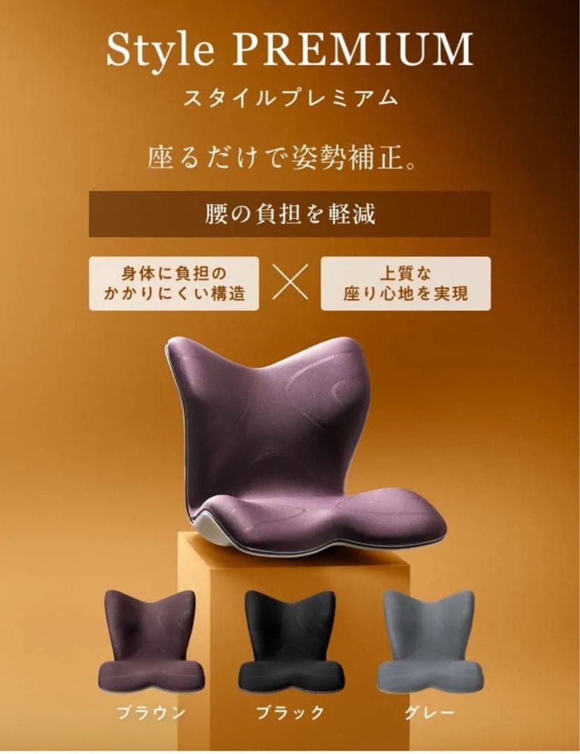 1933【極美品】Style premium骨盤・姿勢矯正クッション