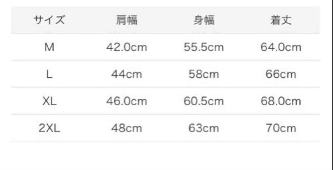 Land Lightweight Down Vest スノーピーク ベスト XL