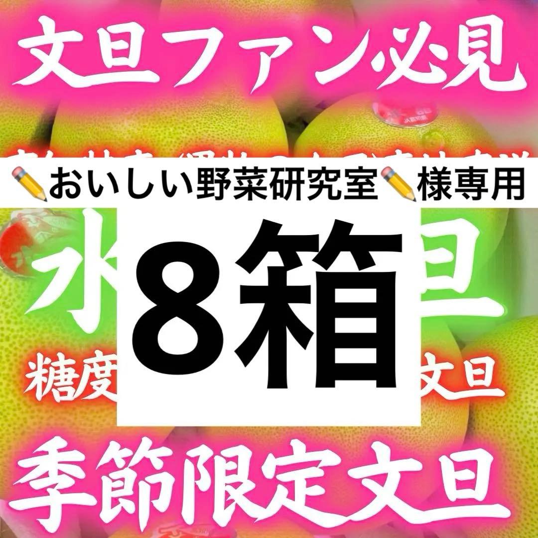 02高知特産 水晶文旦 8～6玉入 約3kg ×8箱 文旦 産地直送 送料無料