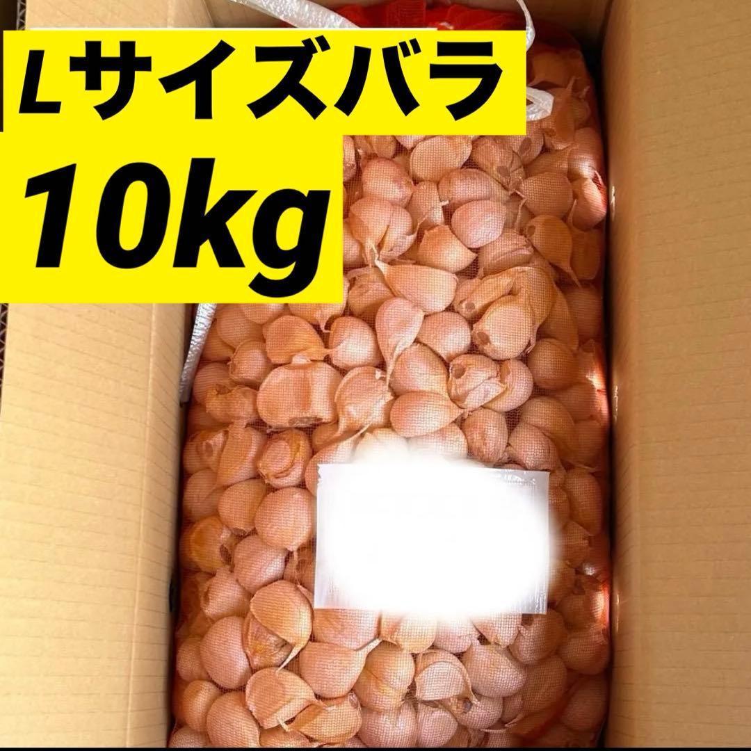【数量限定】青森県産 にんにく Lバラ10kg 福地ホワイト 激安 加工