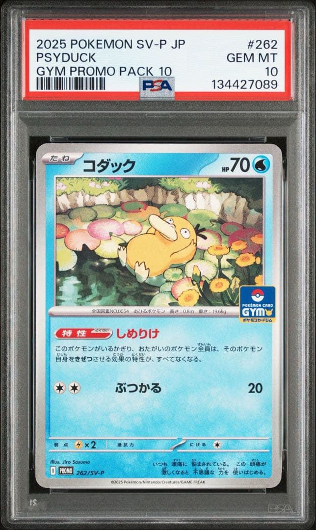 PSA10 連番 コダック プロモ 10弾