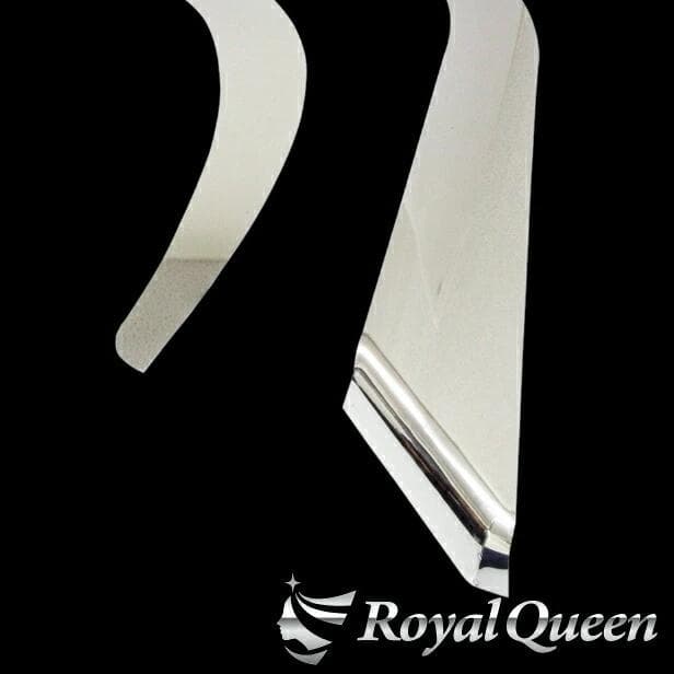 0645 日野 旧プロフィア テラヴィ フェンダーパネル ステンレス 鏡面