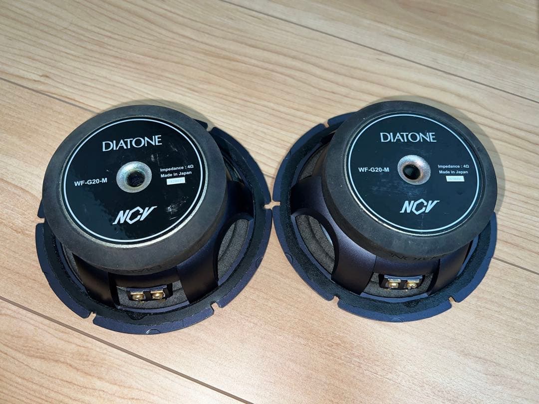 DIATONE スピーカー G20 ネットワーク ツィーター ダイヤトーン