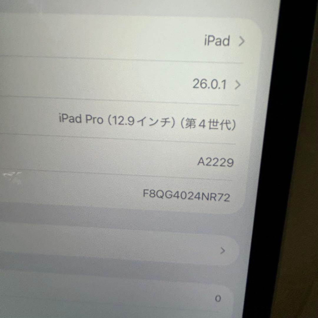 バッテリー100% iPad Pro 12.9 第4世代 256GB Wi-Fi