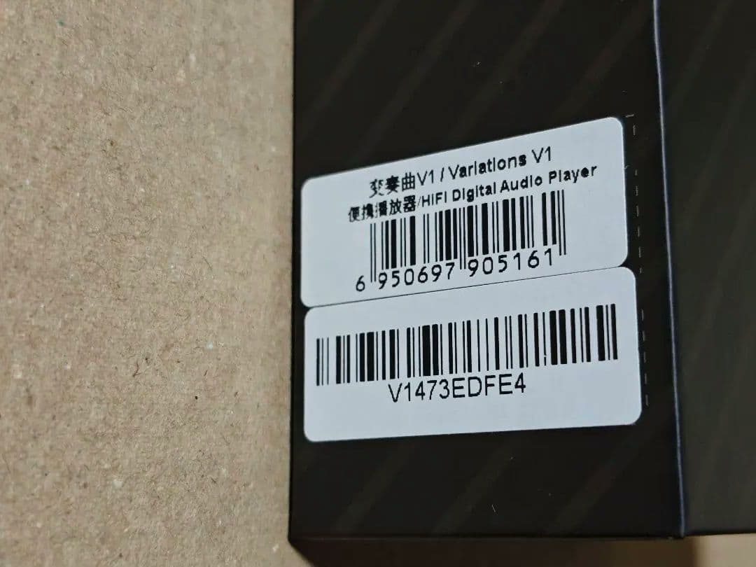 TEMPOTEC V1 デジタルオーディオプレイヤー 専用レザーケース付き