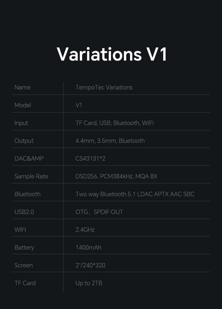 TEMPOTEC V1 デジタルオーディオプレイヤー 専用レザーケース付き