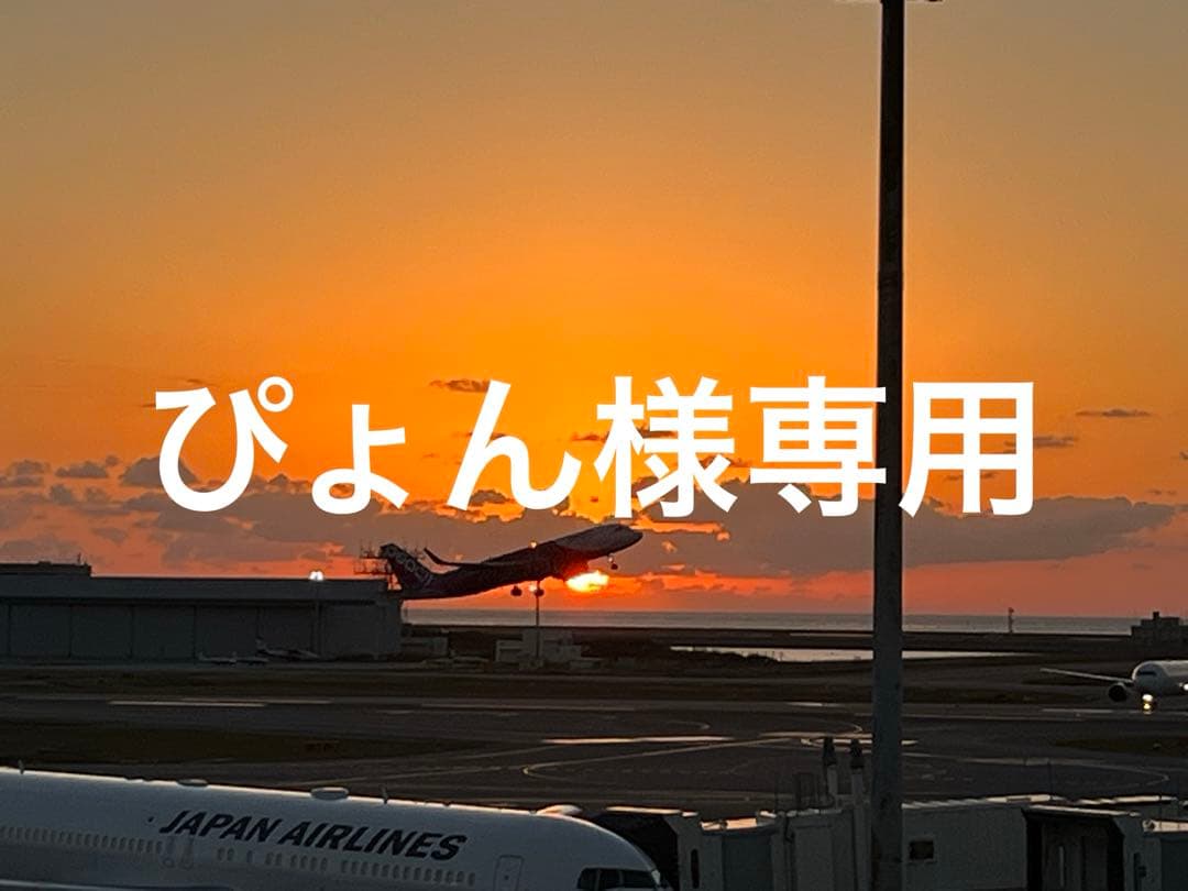 レジンアート海(ぴょん)