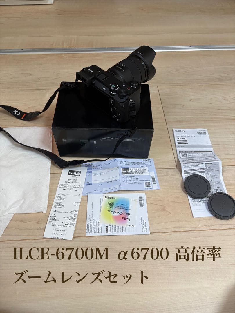 2025/12月購入SONY α6700 高倍率ズームレンズキット