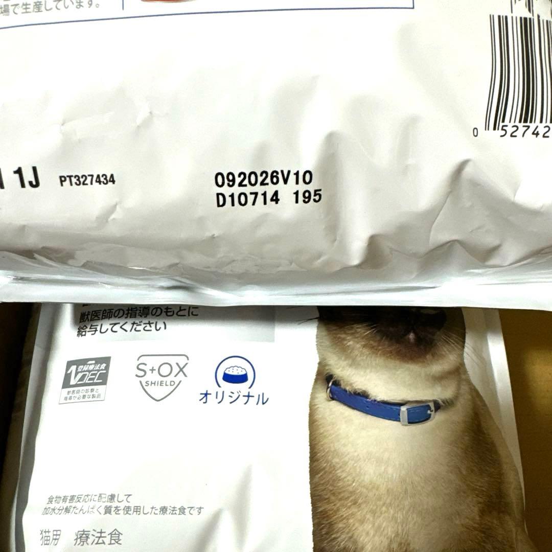 【猫用】Hill's ヒルズ 食物アレルギー　zd ドライ　2kg 2袋