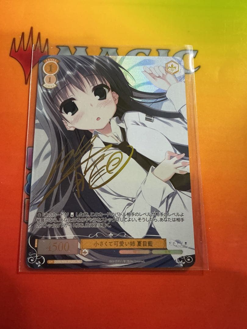 ヴァイスシュヴァルツロゼ　小さくて可愛い姉　夏目藍　PR+