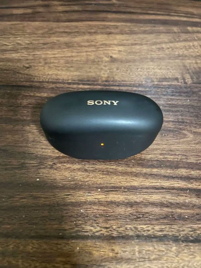 Sony WF-1000XM5 (右耳のみ)