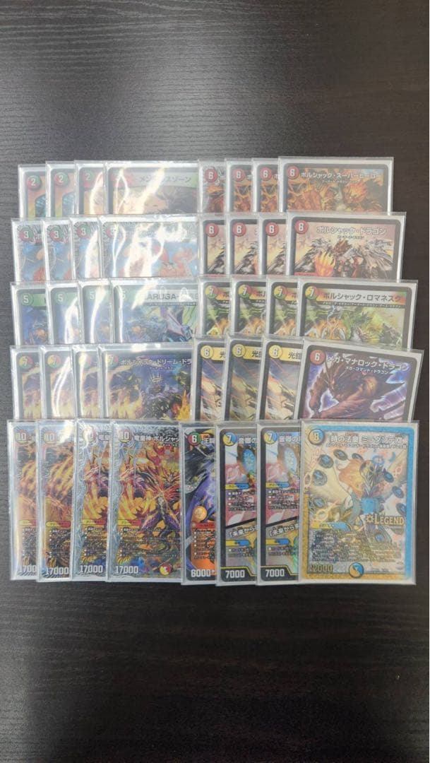 【追跡付き】リースボルシャック