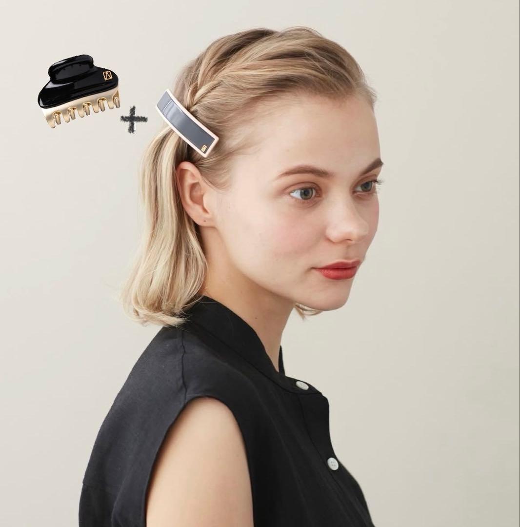 新品未使用限定品ALEXANDRE DE PARIS ヘアクリップ&バレッタ