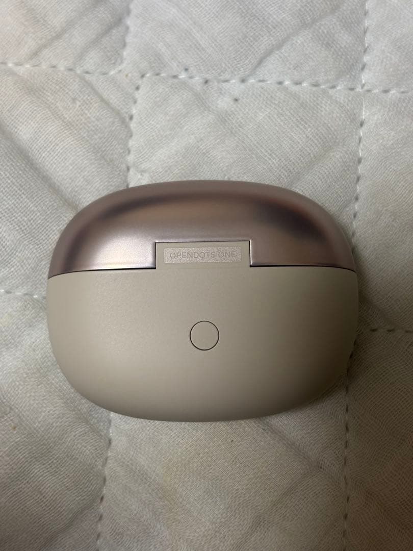 Shokz (ショックス) OpenDots ONE