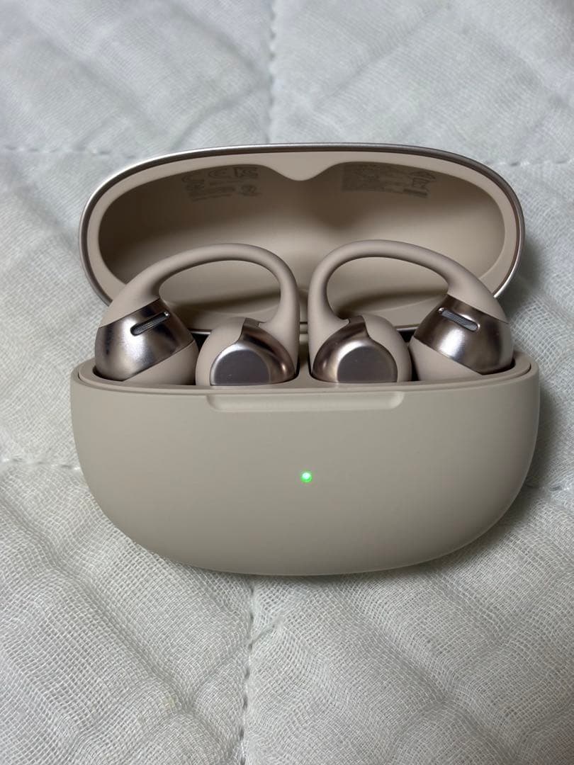 Shokz (ショックス) OpenDots ONE