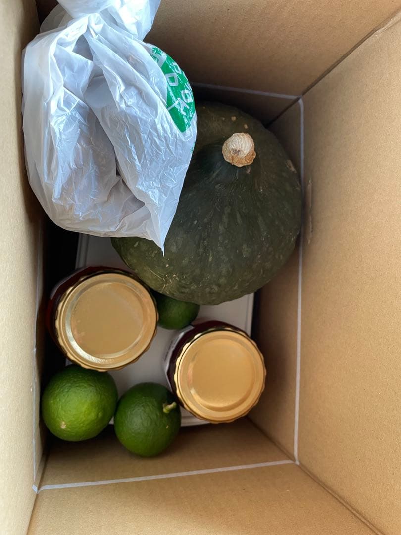 Shells様検討用　日本蜜蜂巣蜜2025.9