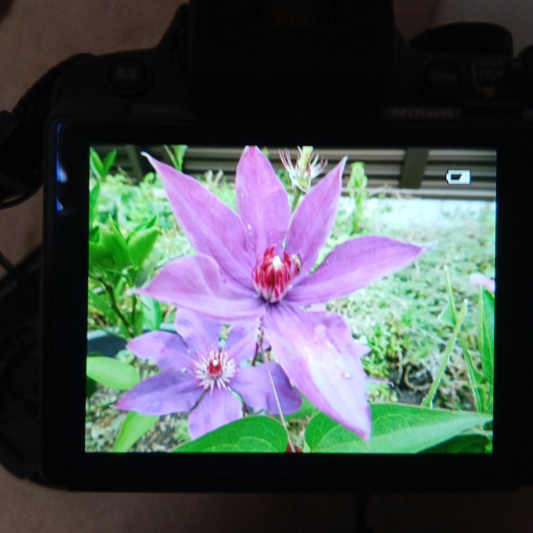 デジタルカメラ 花・鳥・月撮影