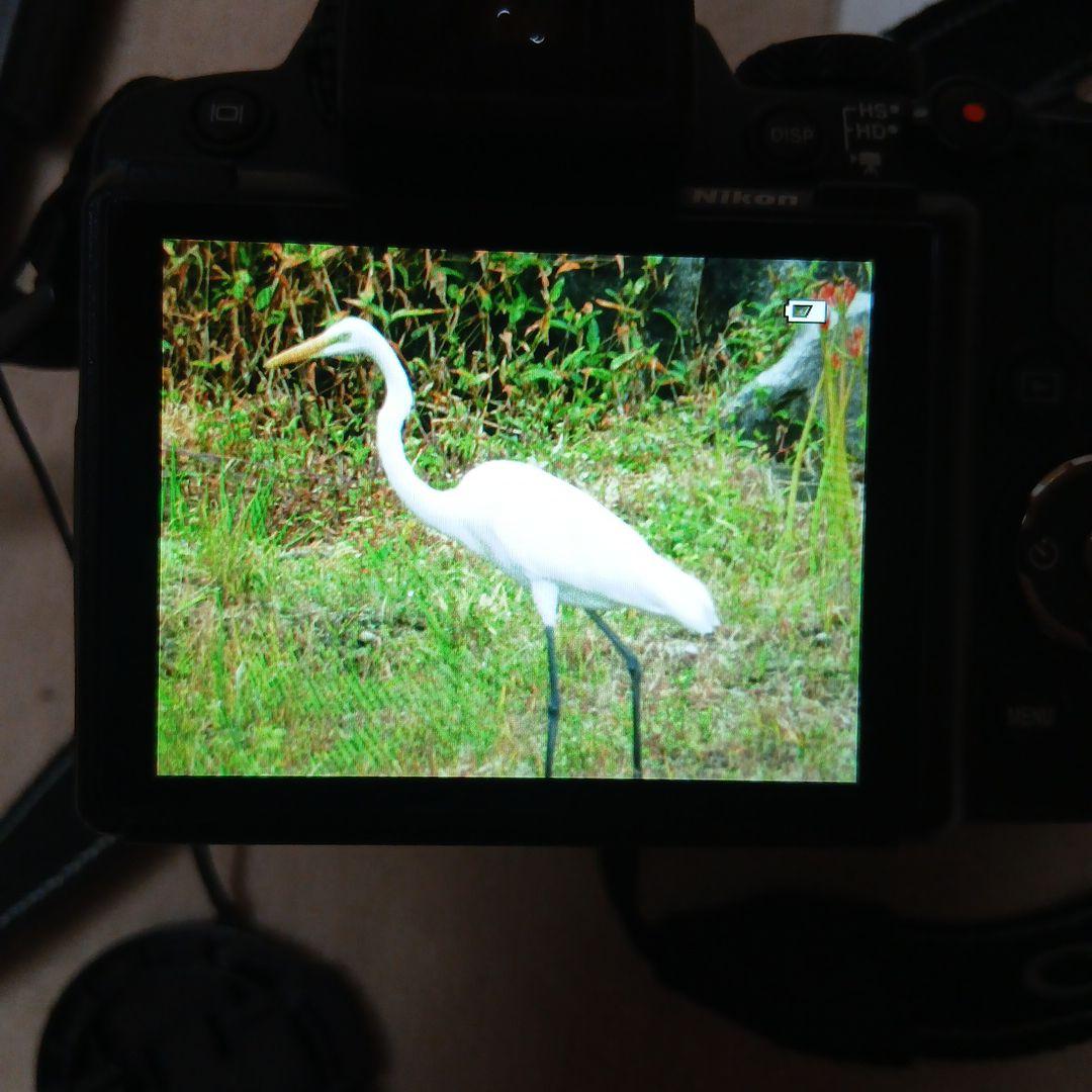 デジタルカメラ 花・鳥・月撮影
