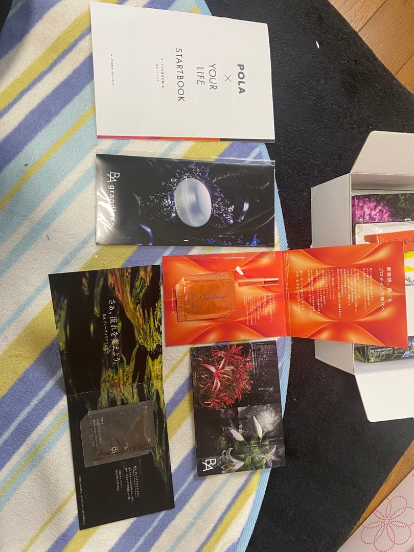 BA ミルクフォーム シーズナルボックス