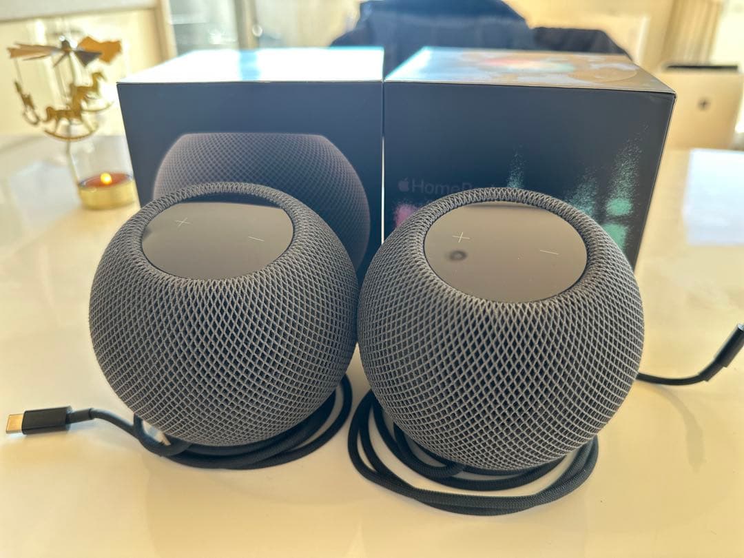 Apple Pod mini スペースグレー 2個セット