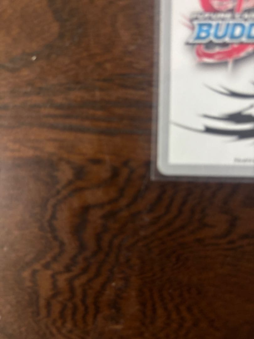 バディファイト SAO ソードアートオンライン　溶けた心の棘 リズベット　サイン