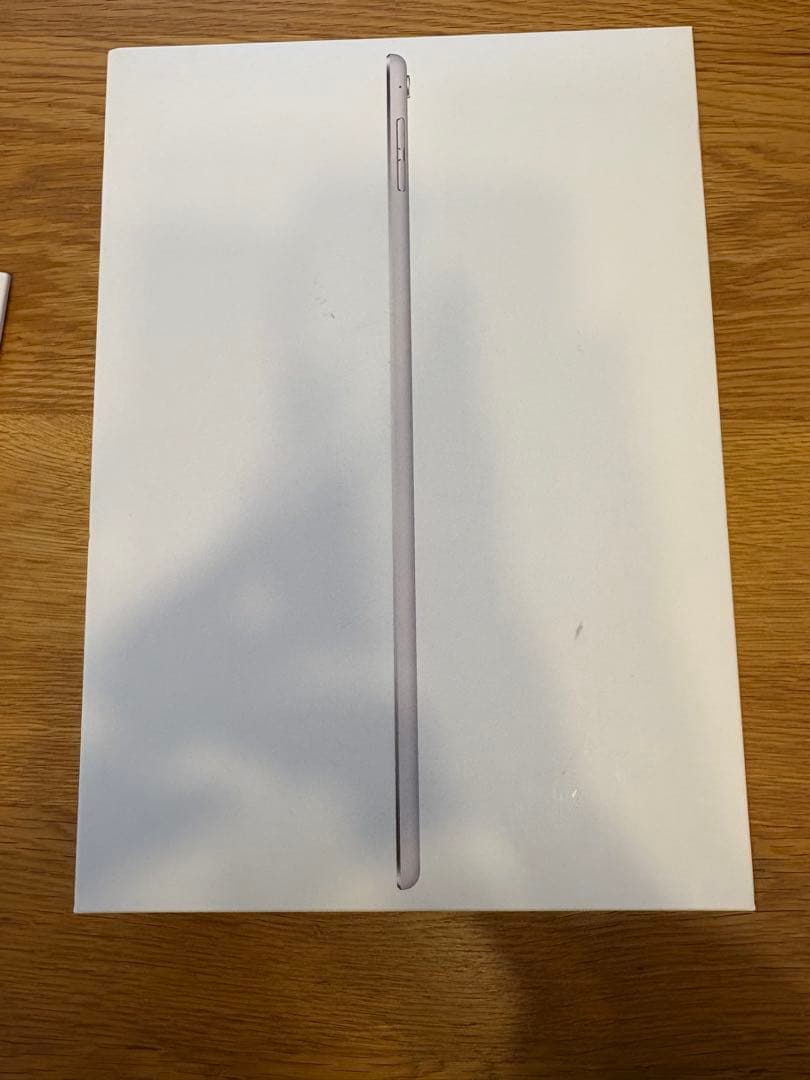 Apple iPad Pro 9.7インチ　本体　ケース付き