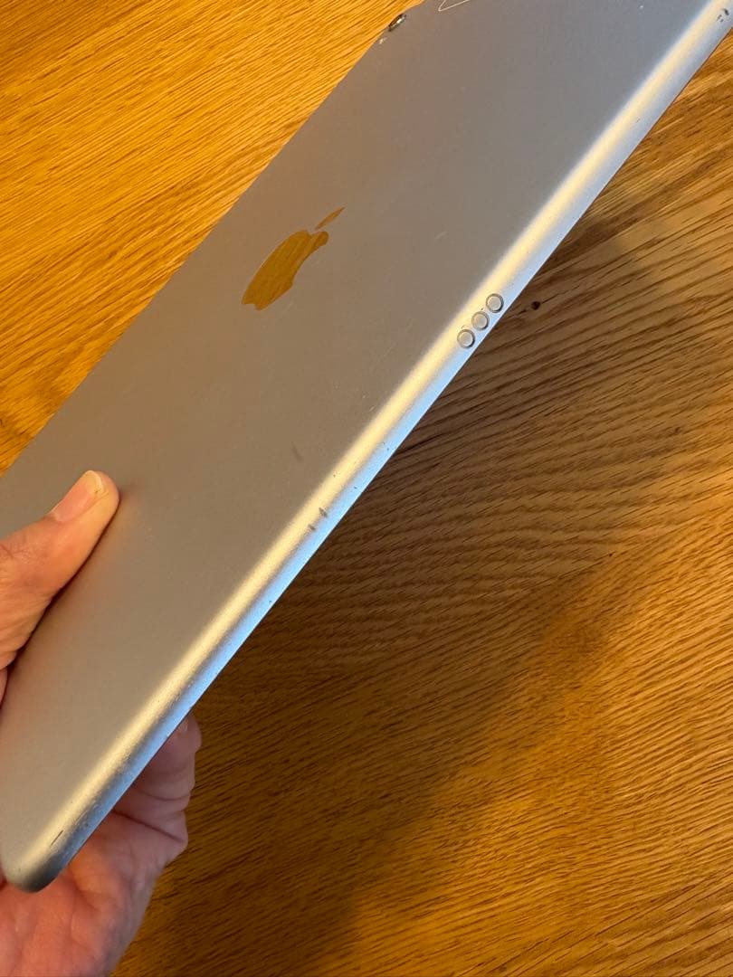 Apple iPad Pro 9.7インチ　本体　ケース付き