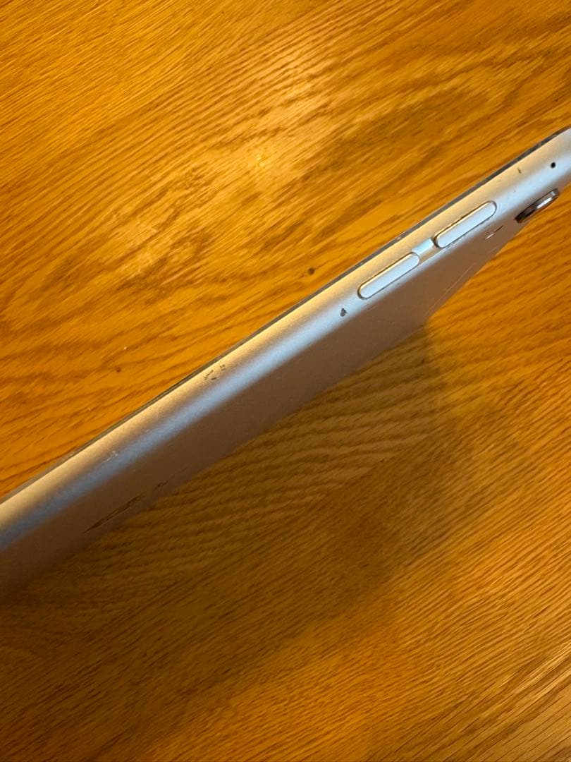 Apple iPad Pro 9.7インチ　本体　ケース付き