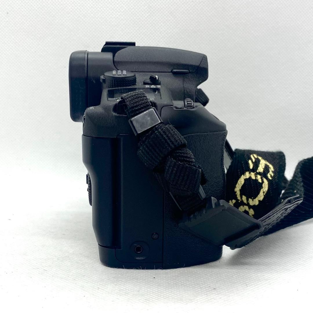 【C6260】Canon キヤノン EOS 7s 本体のみ フイルムカメラ