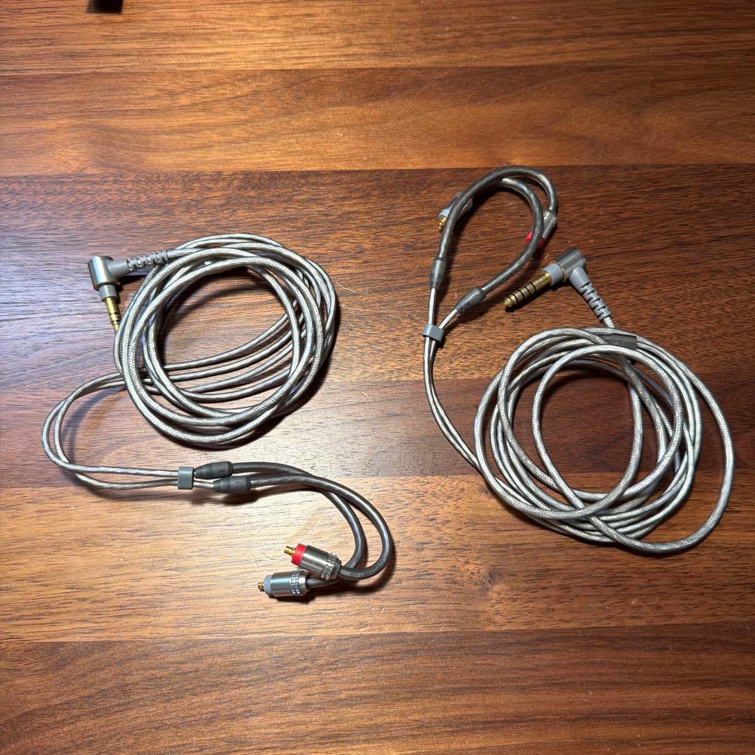 ソニー　Sony IER-Z1R